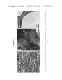 CHELATING AGENT MODIFIED GRAPHENE OXIDES, METHODS OF PREPARATION AND USE diagram and image