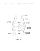 ELECTROMAGNETIC THERMAL THERAPY diagram and image