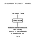 APPLYING SHEAR STRESS FOR DISEASE TREATMENT diagram and image