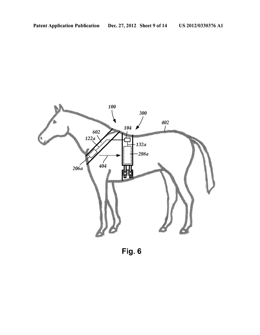 SYSTEMS AND METHODS FOR MAKING AND USING ELECTRICAL STIMULATION SYSTEMS     FOR PROVIDING THERAPY TO LARGE ANIMALS - diagram, schematic, and image 10