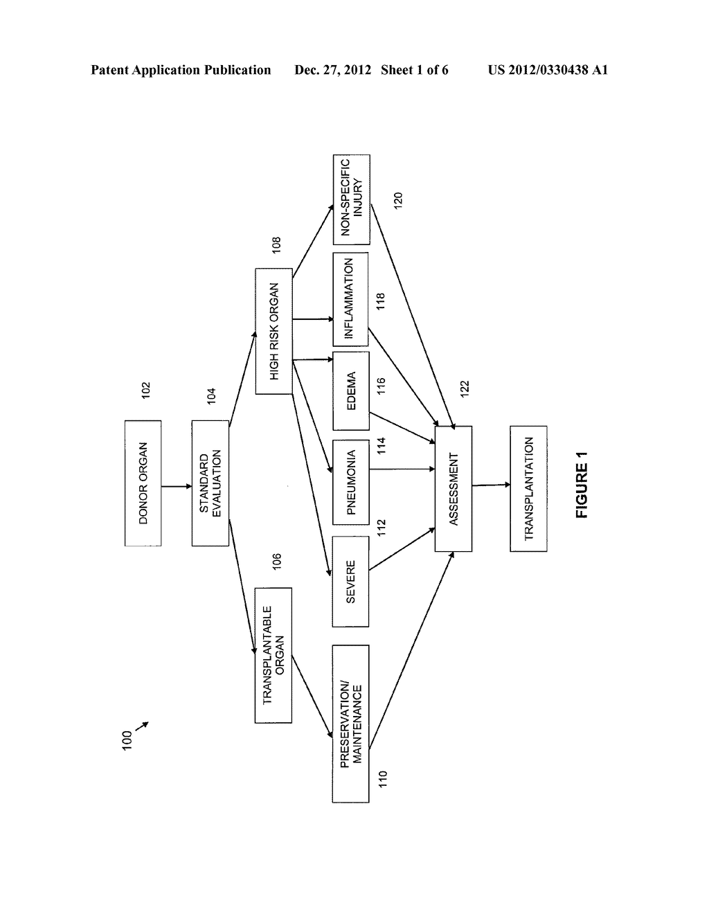 REPAIRED ORGAN AND METHOD FOR MAKING THE SAME - diagram, schematic, and image 02