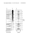 METHODS, SYSTEMS, AND COMPUTER READABLE MEDIA FOR FRICATIVES AND HIGH     FREQUENCIES DETECTION diagram and image