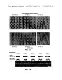 METHOD FOR DESIGNING OPTICAL LITHOGRAPHY MASKS FOR DIRECTED SELF-ASSEMBLY diagram and image