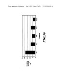 Shoot Restraint for Use with Manufactured Seeds diagram and image