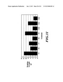 Shoot Restraint for Use with Manufactured Seeds diagram and image