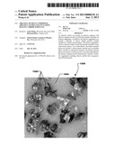 ABRASIVE SEGMENT COMPRISING ABRASIVE AGGREGATES INCLUDING SILICON CARBIDE     PARTICLES diagram and image