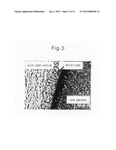 SUBSTRATE MIMICKING INTERCELLULAR LIPIDS IN STRATUM CORNEUM AND METHOD OF     EVALUATING SKIN ROUGHENING USING THE SAME diagram and image