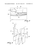 CASE FOR THE SAFE TRANSPORT OF GUNS WITH ASSOCIATED HOLSTER diagram and image