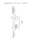 THIN FILM COMPOSITE MEMBRANES EMBEDDED WITH MOLECULAR CAGE COMPOUNDS diagram and image