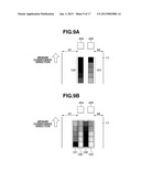 IMAGE FORMING APPARATUS AND IMAGE FORMING METHOD diagram and image