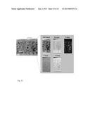 PEROVSKITE MATERIAL WITH ANION-CONTROLLED DIELECTRIC PROPERTIES, THIN FILM     CAPACITOR DEVICE, AND METHOD FOR MANUFACTURING THE SAME diagram and image