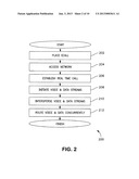 APPARATUS AND METHODS FOR TRANSMISSION OF EMERGENCY CALL DATA OVER     WIRELESS NETWORKS diagram and image