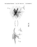 SYSTEMS AND METHODS FOR IMPROVED TRACTOGRAPHIC PROCESSING diagram and image