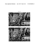 Methods, Devices, and Computer Readable Mediums for Processing a Digital     Picture diagram and image