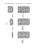 POLYELECTROLYTE MULTILAYER THIN FILM CATALYST AND METHOD FOR PRODUCING     SAME diagram and image