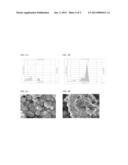 SYNTHESIS OF PALLADIUM BASED METAL OXIDES BY SONICATION diagram and image