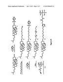 Biomineral and Metal Binding Liposomes, Their Synthesis, and Methods of     Use Thereof diagram and image