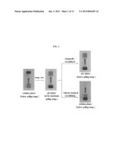 POLY(ORGANOPHOSPHAZENE) COMPOSITION FOR BIOMATERIALS diagram and image