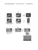 POLY(ORGANOPHOSPHAZENE) COMPOSITION FOR BIOMATERIALS diagram and image