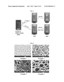 POLY(ORGANOPHOSPHAZENE) COMPOSITION FOR BIOMATERIALS diagram and image