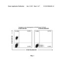 COMPOSITION OF TUMOR-ASSOCIATED PEPTIDES AND RELATED ANTI-CANCER VACCINE     FOR THE TREATMENT OF GLIOBLASTOMA (GBM) AND OTHER CANCERS diagram and image