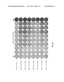 COMPOSITION OF TUMOR-ASSOCIATED PEPTIDES AND RELATED ANTI-CANCER VACCINE     FOR THE TREATMENT OF GLIOBLASTOMA (GBM) AND OTHER CANCERS diagram and image