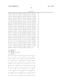 MYOGENIC DIFFERENTIATION OF STEM CELLS AND AND USES THEREOF diagram and image