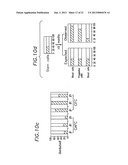 p27 AND p21 IN GENE THERAPIES diagram and image