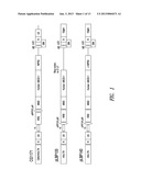 GENE THERAPY VECTORS FOR ADRENOLEUKODYSTROPHY AND ADRENOMYELONEUROPATHY diagram and image