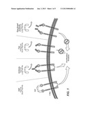 ANTI-C-MET ANTIBODY FORMULATIONS diagram and image