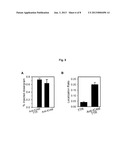 DELIVERY OF TRANSTHYRETIN ACROSS THE BLOOD-BRAIN BARRIER AS A TREATMENT     FOR ALZHEIMER S DISEASE diagram and image