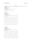 ANTIBODY AGAINST SEROTYPE A LIPOPOLYSACCHARIDE OF PSEUDOMONAS AERUGINOSA diagram and image