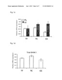 NUCLEIC ACID MOLECULES ENCODING BANK1 SPLICE VARIANTS diagram and image