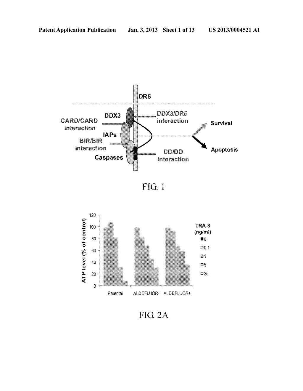 TARGETING CANCER STEM CELLS - diagram, schematic, and image 02