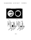 PHOTOTRIGGERED NANOPARTICLES FOR CELL AND TISSUE TARGETING diagram and image