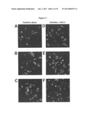 Use of Plant Lectins to Target Leukocytes diagram and image