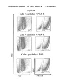 Use of Plant Lectins to Target Leukocytes diagram and image