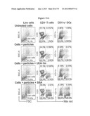 Use of Plant Lectins to Target Leukocytes diagram and image