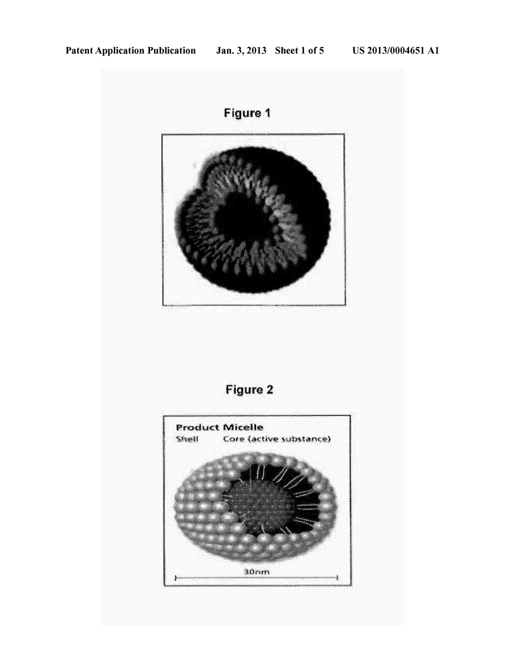 SUSTAINED DRUG RELEASE FROM BODY IMPLANTS USING NANOPARTICLE-EMBEDDED     POLYMERIC COATING MATERIALS - diagram, schematic, and image 02