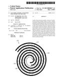 ELECTRODE ASSEMBLY AND METHOD FOR CONSTRUCTING THE SAME diagram and image