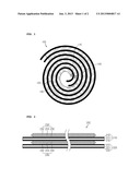 ELECTRODE ASSEMBLY AND METHOD FOR CONSTRUCTING THE SAME diagram and image