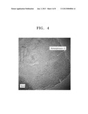 NEGATIVE ACTIVE MATERIAL, METHOD OF PREPARING THE SAME, AND LITHUM BATTERY     INCLUDING NEGATIVE ACTIVE MATERIAL diagram and image