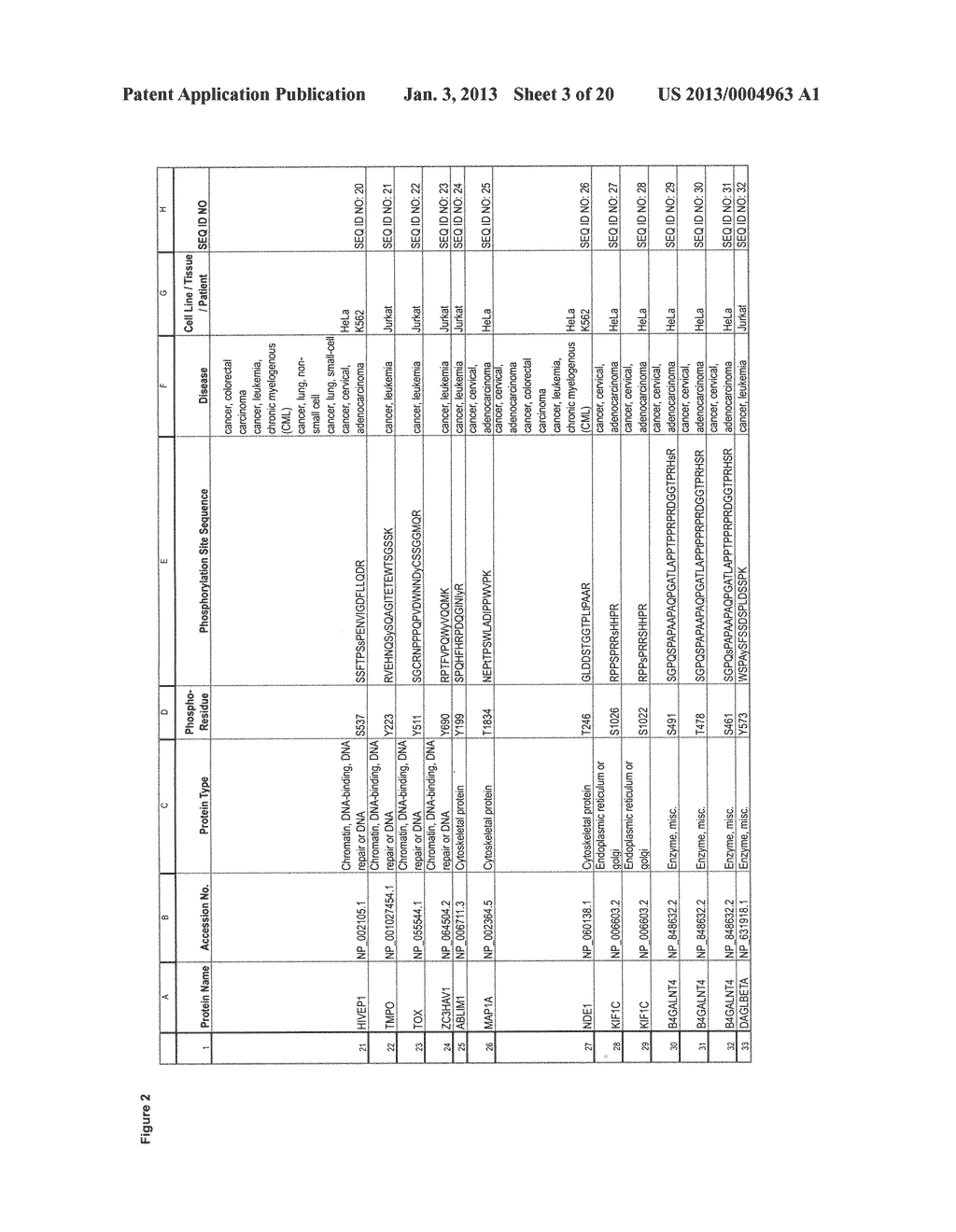 Tyrosine, serine and threonine phosphorylation sites - diagram, schematic, and image 04