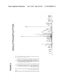 Tyrosine, serine and threonine phosphorylation sites diagram and image