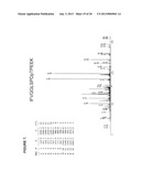 Tyrosine, serine and threonine phosphorylation sites diagram and image