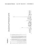 Tyrosine, serine and threonine phosphorylation sites diagram and image