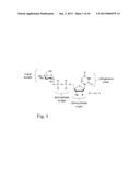 GLYCOSYLTRANSFERASE REVERSIBILITY FOR SUGAR NUCLEOTIDE SYNTHESIS AND     MICROSCALE SCANNING diagram and image