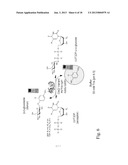 GLYCOSYLTRANSFERASE REVERSIBILITY FOR SUGAR NUCLEOTIDE SYNTHESIS AND     MICROSCALE SCANNING diagram and image