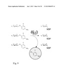 GLYCOSYLTRANSFERASE REVERSIBILITY FOR SUGAR NUCLEOTIDE SYNTHESIS AND     MICROSCALE SCANNING diagram and image