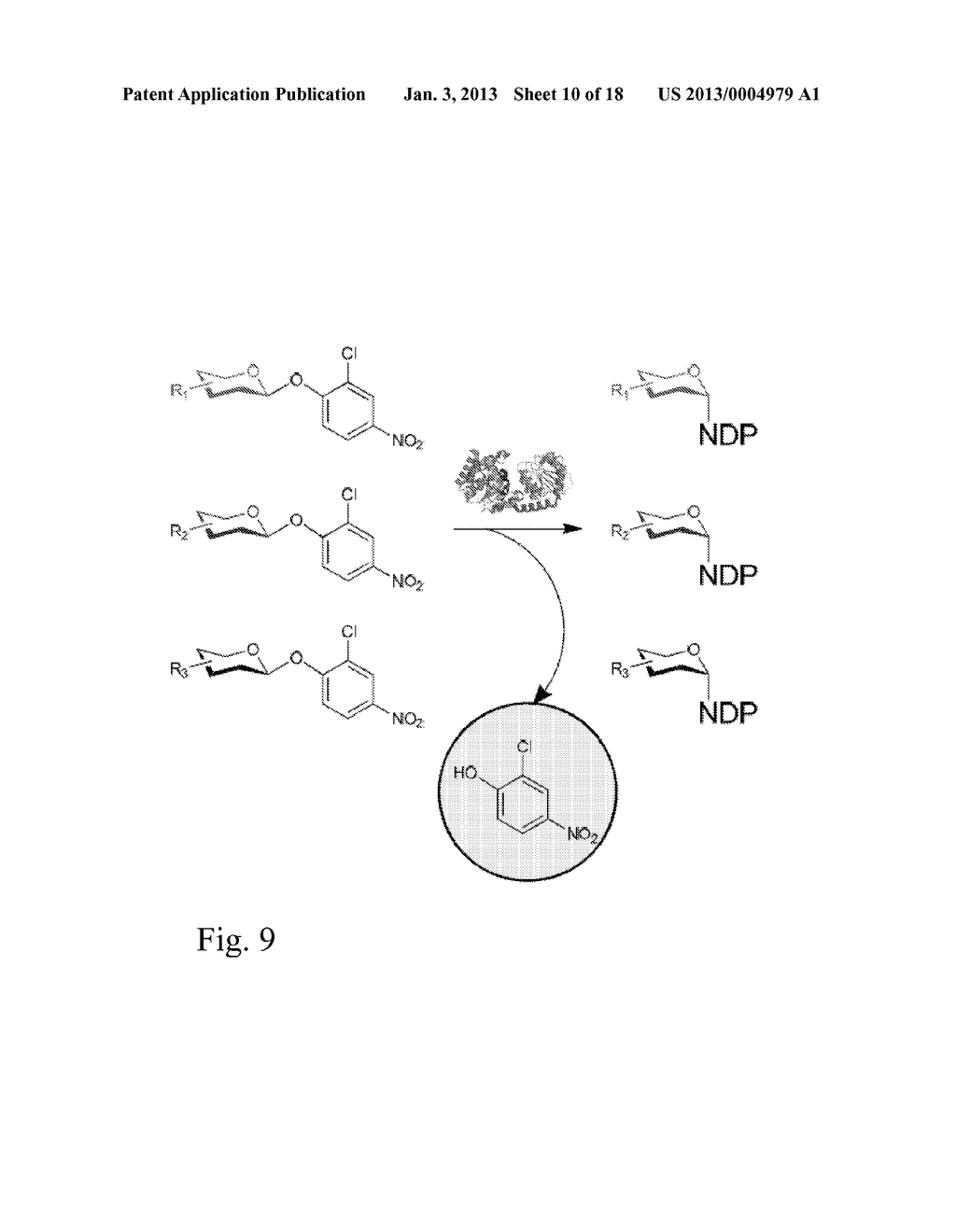 GLYCOSYLTRANSFERASE REVERSIBILITY FOR SUGAR NUCLEOTIDE SYNTHESIS AND     MICROSCALE SCANNING - diagram, schematic, and image 11